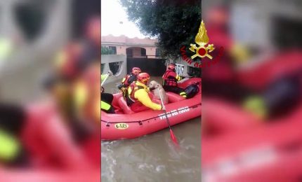 Maltempo, i vigili del fuoco salvano in gommone un uomo e il suo cane