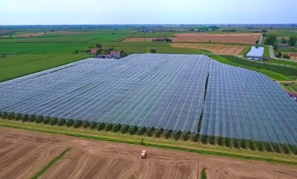 Genetica e digitale: le parole chiave per l&rsquo;agricoltura del futuro