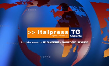 Tg Ambiente - 31/10/2021