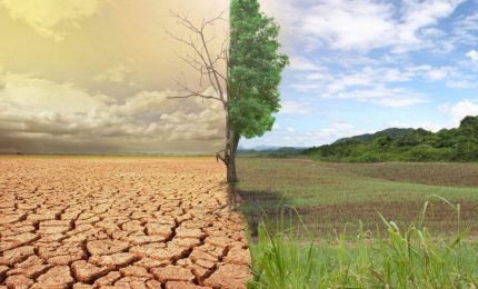 Ecco cosa si può fare per limitare gli effetti dei cambiamenti climatici che danneggiano l'agricoltura