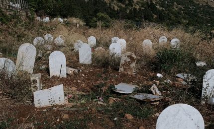A Palermo il sindaco Orlando parla della zona bianca mentre i cinghiali 'banchettano' al cimitero dei Rotoli