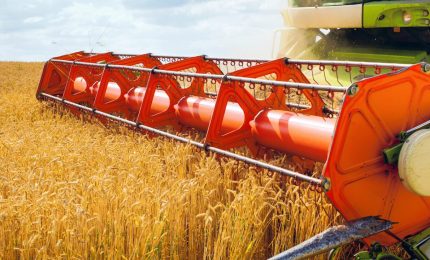 Alle stelle i prezzi grano che ora inizia anche a scarseggiare