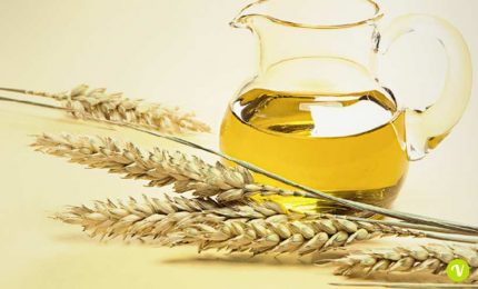 A Foggia grano duro a 55 euro al quintale, a 10-12 euro al litro l'olio extra vergine d'oliva siciliano. Alti i prezzi dei fertilizzanti
