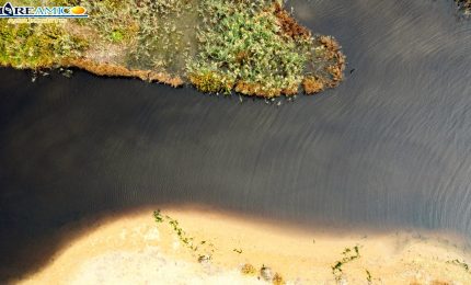 Acque inquinate alla foce del fiume Naro dai residui della molitura delle olive (VIDEO)