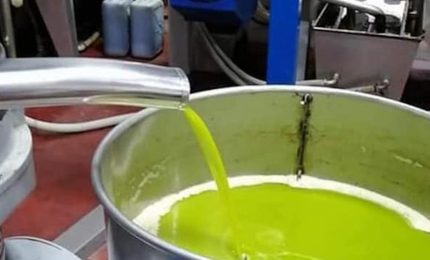 Mario Pagliaro ai produttori di olio d'oliva extra vergine della Sicilia: non vendete subito perché il prezzo crescerà