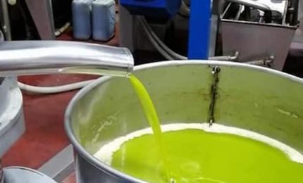 Mario Pagliaro ai produttori di olio d'oliva extra vergine della Sicilia: non vendete subito perch&eacute; il prezzo crescer&agrave;