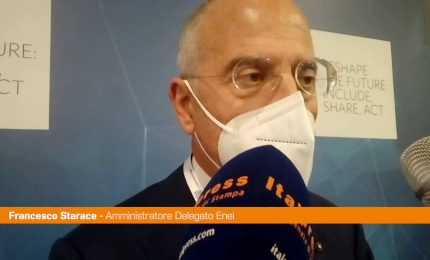 Starace: “Sulla transizione green Enel più avanti di altri”