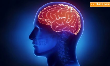 Scoperte, cos&igrave; il cervello si protegge dalle infiammazioni intestinali