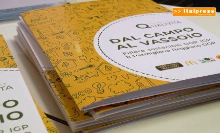 "Dal Campo al Vassoio", un progetto per educare alla sostenibilit&agrave;