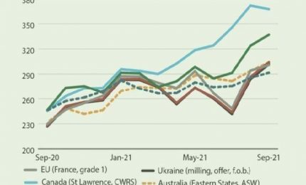 Aumento dei casi di Covid, aumento costo dell'energia e dei fertilizzanti: effetti dirompenti in agricoltura, grano in testa