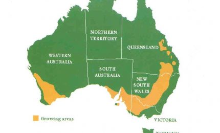 Adesso l'Italia punta sul grano duro e tenero prodotto nel Paese dei canguri