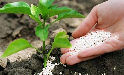 Dopo la Cina anche la Russia ridurr&agrave; l'export di fertilizzanti: aumento del prezzo dell'urea in tutta l'Europa