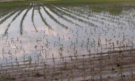 Alluvione: la CIA conta i danni subiti dagli agricoltori nella Sicilia orientale. Tragico errore credere nel Governo Draghi