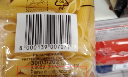 La proroga delle etichette della pasta "Grano Ue - Grano non Ue" è l'ennesimo fallimento dei grillini