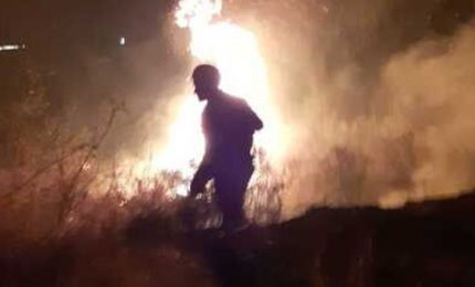 Per tutelare i boschi e i corsi d'acqua della Sicilia servono 30 mila operai forestali stabilizzati. Cosa combinano i deputati di Attiva Sicilia con il Sifus?