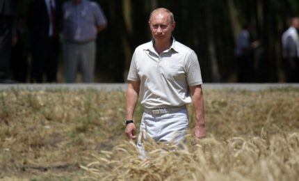 Cresce il prezzo del grano russo e il Governo di questo Paese teme di esportarne troppo e di lasciare sguarnite le riserve