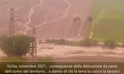 La Sicilia che si sbriciola con le piogge e l'allarme lanciato dal WWF con un video girato nel fiume Torto a Roccapalumba