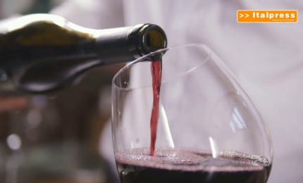 Vino, aumentano i costi di produzione in Europa