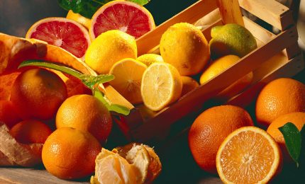 Importante: acquistate solo arance, limoni e mandarini locali, quelli importati potrebbero contenere pesticidi (attenzione ai bambini)/ MATTINALE 500