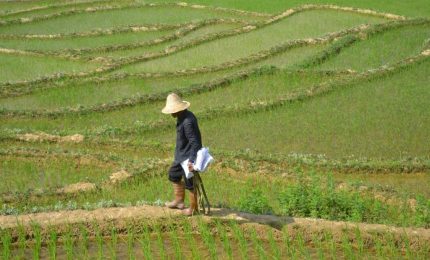 La Cina acquista in modo massiccio nel mondo cereali e cibo in generale facendo schizzare all'insù i prezzi. Perché? /MATTINALE 522
