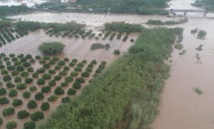 Per i danni da alluvioni il Governo Musumeci si ricorda dei Comuni ma dimentica gli agricoltori/ SERALE