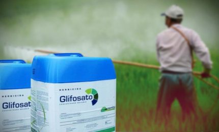 Il grano al glifosato? Fa male alla salute, ma produce affari d'oro per industrie, multinazionali industriali e farmaceutiche