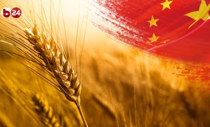 Anche Byoblu si occupa dei grandi acquisti di grano della Cina e ne fa una questione geopolitica. Ma.../ MATTINALE
