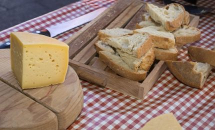 La FAO segnala un nuovo aumento dei prezzi del grano e dei prodotti lattiero caseari nel mondo