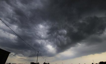 La Regione siciliana sostenga gli agricoltori nell'acquisto di sementi e fertilizzanti nel nome dell'emergenza pioggia