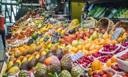 Il 'capolavoro' di un'azienda ortofrutticola veneta che giustifica dieci, cento, mille volte il Reddito di cittadinanza