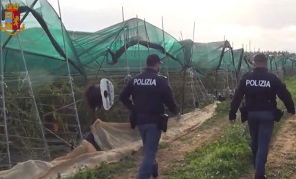 Sfruttavano braccianti pagandoli 5 euro l&rsquo;ora, due denunce nel Nisseno