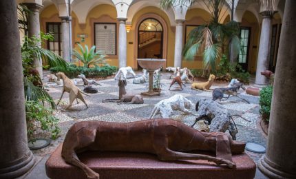 Miccich&egrave; &ldquo;Il Branco di Velasco diventi garanzia di legalit&agrave;&rdquo;