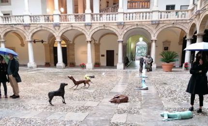 Il &ldquo;Branco&rdquo; di Vitali si insedia al Palazzo Reale di Palermo