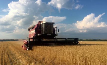 Manovra, 2 miliardi per l&rsquo;agroalimentare