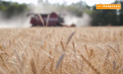 Cereali dalla Russia, i tagli all&rsquo;export non pesano sull&rsquo;Ue