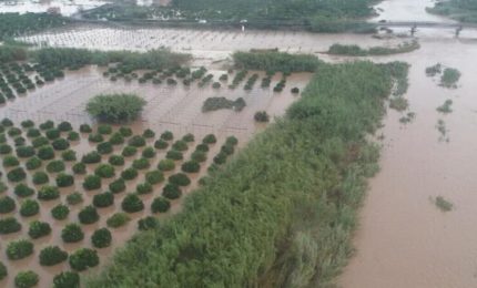 L'agricoltura siciliana in ginocchio tra aumento dei costi di sementi, fertilizzanti, carburanti e dai corsi d'acqua che esondano ad ogni pioggia