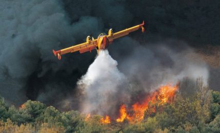 Invece della Forestale arrivano gli appalti per lavori di prevenzione di incendi e altre calamità a Monreale, Piana degli Albanesi e Altofonte