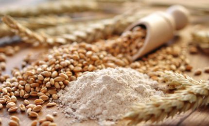 Si stanno prendendo i grani antichi della Sicilia utilizzandoli con il nome cambiato? Il 'caso' Khorasan