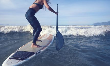 La Caronte&Tourist perde al TAR Sicilia il ricorso contro la Regione siciliana, ma in realt&agrave; potrebbe avere vinto...