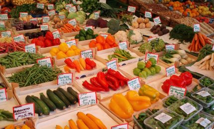 Crisi agricoltura italiana: i prezzi di oggi di ortofrutta e latte sono quasi gli stessi del 2001 e in alcuni casi sono inferiori