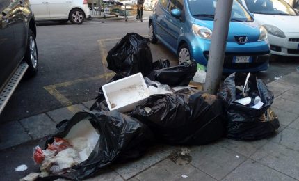 Palermo, degrado assoluto in via Napoli. La denuncia dei cittadini: "I vigili dove sono?"