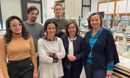 UniPa, studio di Ingegneria selezionato per la rivista &ldquo;Materials&rdquo;