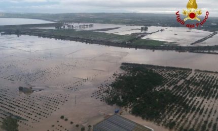 Poche parole per illustrare perch&eacute; gli agricoltori di Sud e Sicilia sono eroi