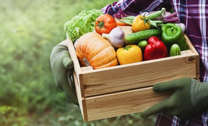 L'agricoltura biodinamica resta fuori dalla legge sull'agricoltura biologica