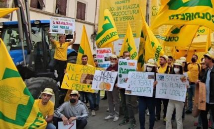 I grillini manifestano con gli agricoltori siciliani. Sono gli stessi grillini che hanno tagliato i fondi FEARS agli agricoltori di Sud e Sicilia?