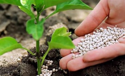 Il prezzo dei fertilizzanti era alto gi&agrave; lo scorso Autunno, la guerra in Ucraina non c'entra nulla. Coldiretti eviti strumentalizzazioni