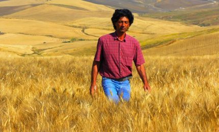 Giuseppe Li Rosi (Simenza): "In Sicilia si concentra il venticinque per cento della biodiversità europea"/ MATTINALE 460