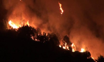 Ben 19 incendi di boschi nel Nord Italia lo scorso Gennaio. Che succederà in Estate? E che succederà in Estate in Sicilia?