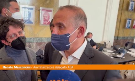 Mazzoncini &ldquo;Energie rinnovabili unico ammortizzatore ad aumento costi"