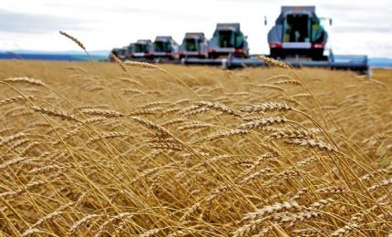 La guerra in Ucraina fa schizzare all'insù il prezzo del petrolio e i guadagni nel trasporto merci. La siccità farà aumentare il prezzo del grano?